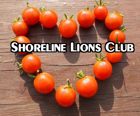 Shoreline Lions club